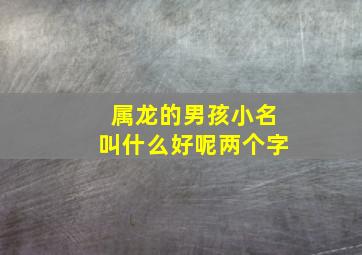 属龙的男孩小名叫什么好呢两个字