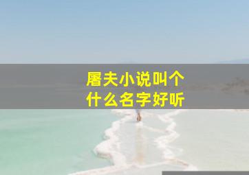 屠夫小说叫个什么名字好听