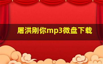 屠洪刚你mp3微盘下载