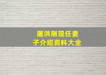 屠洪刚现任妻子介绍资料大全