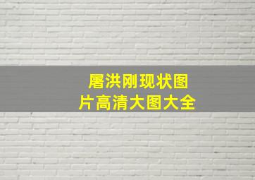 屠洪刚现状图片高清大图大全