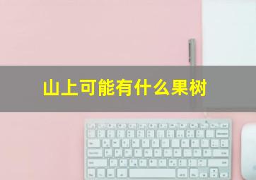 山上可能有什么果树