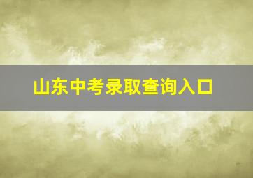 山东中考录取查询入口