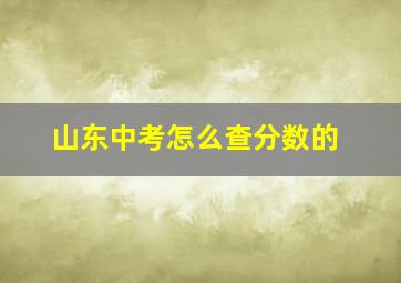 山东中考怎么查分数的