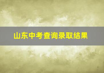 山东中考查询录取结果