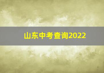 山东中考查询2022