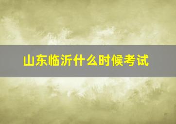 山东临沂什么时候考试