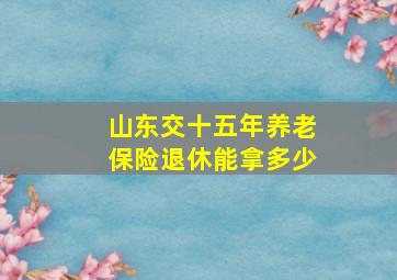 山东交十五年养老保险退休能拿多少