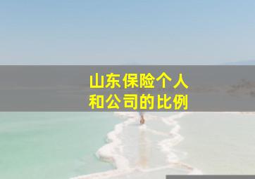 山东保险个人和公司的比例