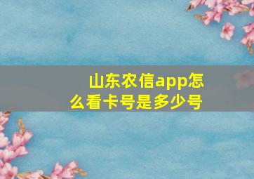 山东农信app怎么看卡号是多少号