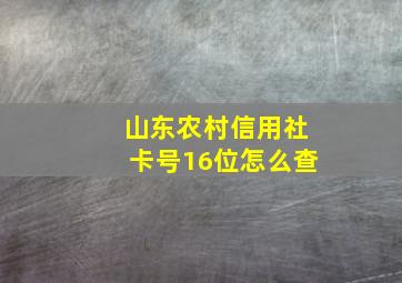 山东农村信用社卡号16位怎么查