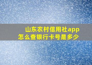 山东农村信用社app怎么查银行卡号是多少