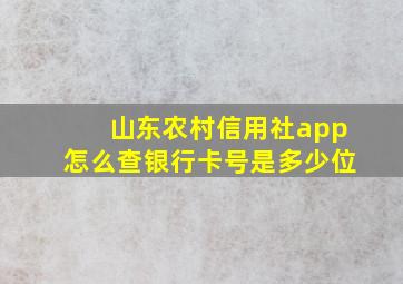 山东农村信用社app怎么查银行卡号是多少位