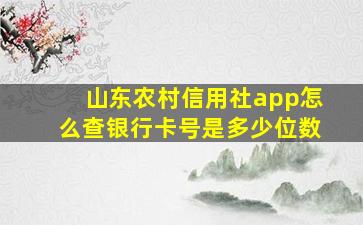 山东农村信用社app怎么查银行卡号是多少位数