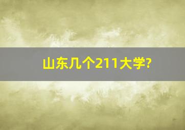 山东几个211大学?