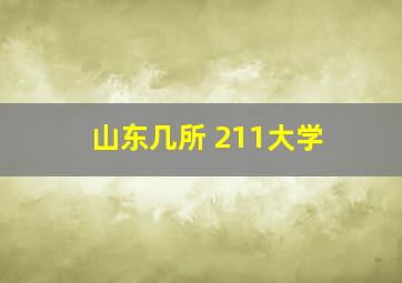 山东几所 211大学