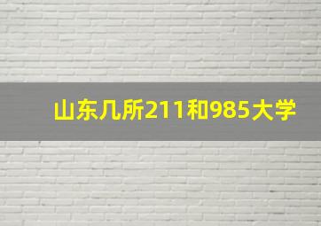 山东几所211和985大学