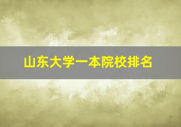 山东大学一本院校排名