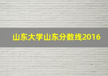 山东大学山东分数线2016