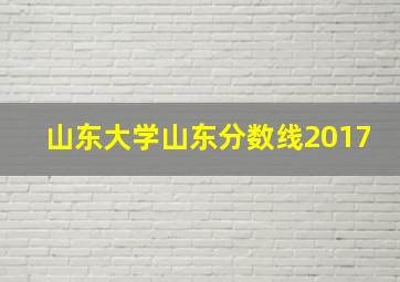 山东大学山东分数线2017