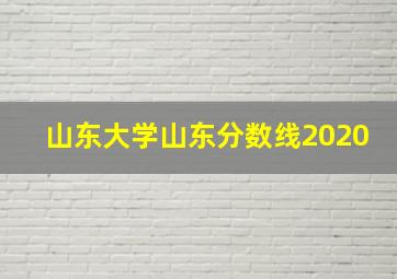 山东大学山东分数线2020