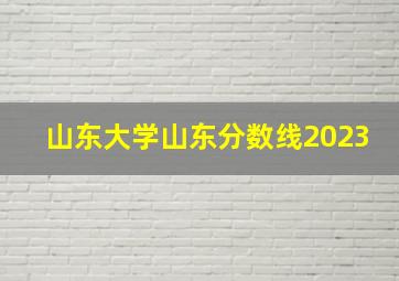 山东大学山东分数线2023