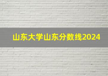 山东大学山东分数线2024