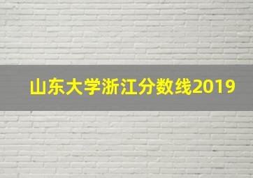 山东大学浙江分数线2019