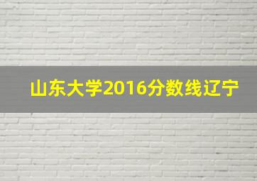 山东大学2016分数线辽宁