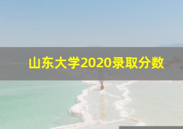 山东大学2020录取分数