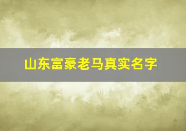 山东富豪老马真实名字