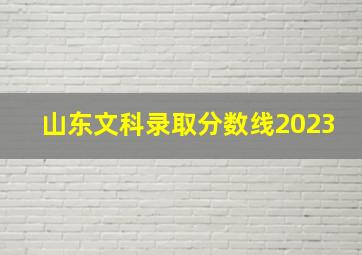 山东文科录取分数线2023