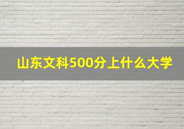 山东文科500分上什么大学