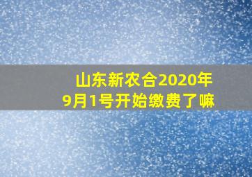 山东新农合2020年9月1号开始缴费了嘛