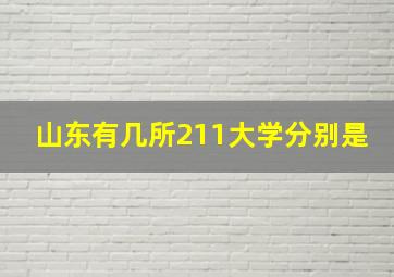 山东有几所211大学分别是