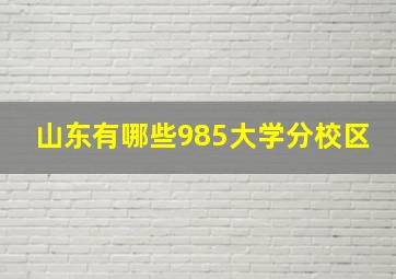 山东有哪些985大学分校区