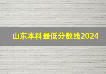 山东本科最低分数线2024