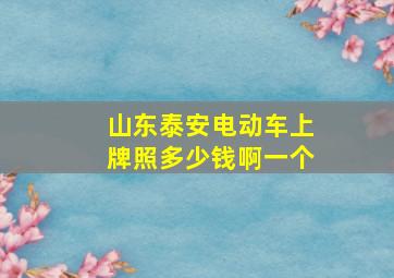 山东泰安电动车上牌照多少钱啊一个