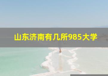 山东济南有几所985大学