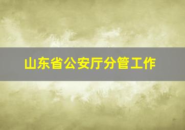 山东省公安厅分管工作