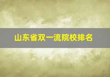 山东省双一流院校排名