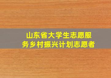 山东省大学生志愿服务乡村振兴计划志愿者