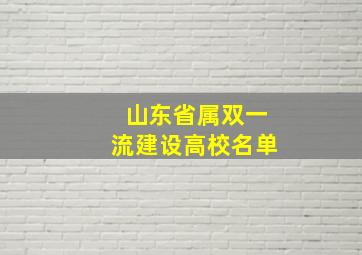 山东省属双一流建设高校名单