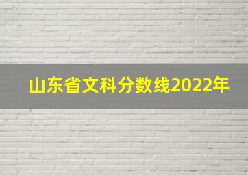 山东省文科分数线2022年