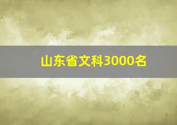 山东省文科3000名