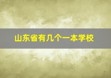 山东省有几个一本学校