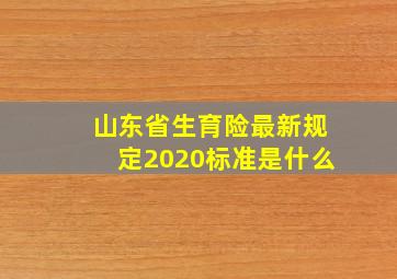 山东省生育险最新规定2020标准是什么