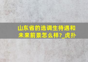 山东省的选调生待遇和未来前景怎么样?_虎扑