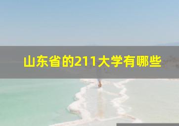 山东省的211大学有哪些