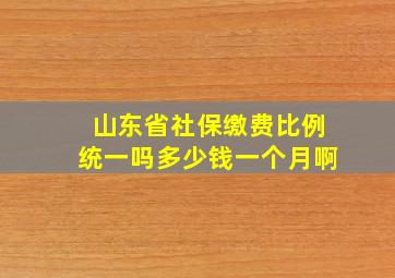 山东省社保缴费比例统一吗多少钱一个月啊